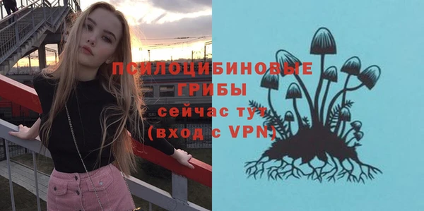 ALPHA-PVP Аркадак