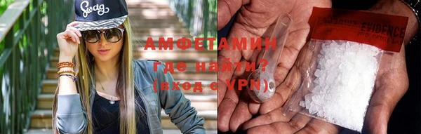 шишки Арсеньев