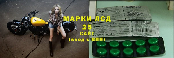 шишки Арсеньев