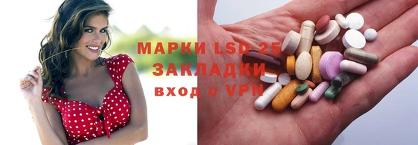 шишки Арсеньев