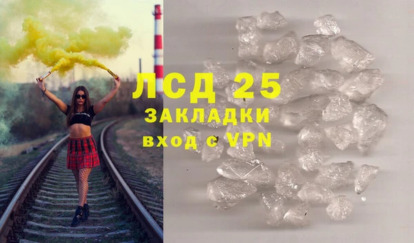 шишки Арсеньев