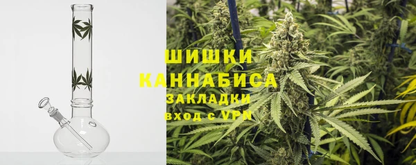 шишки Арсеньев