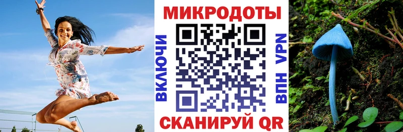 где можно купить   Шарья  Галлюциногенные грибы мицелий 